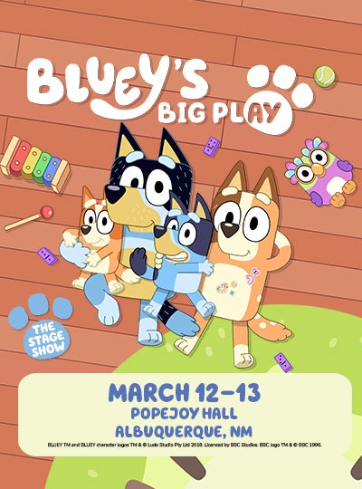 Bluey's Big Play